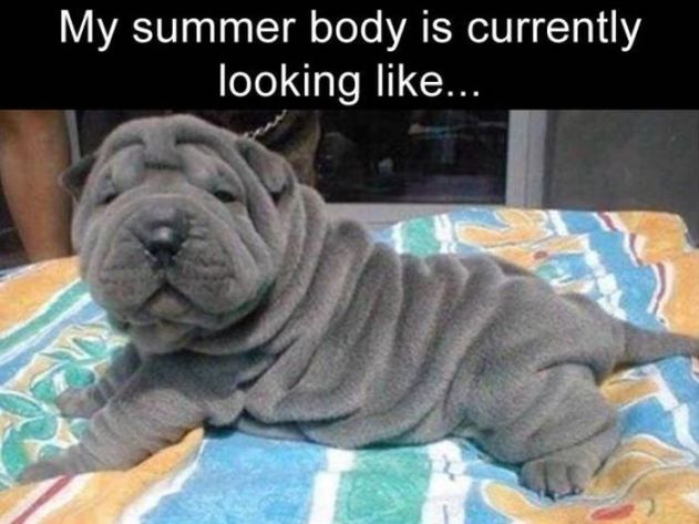 Image result for my summer body is looking like
